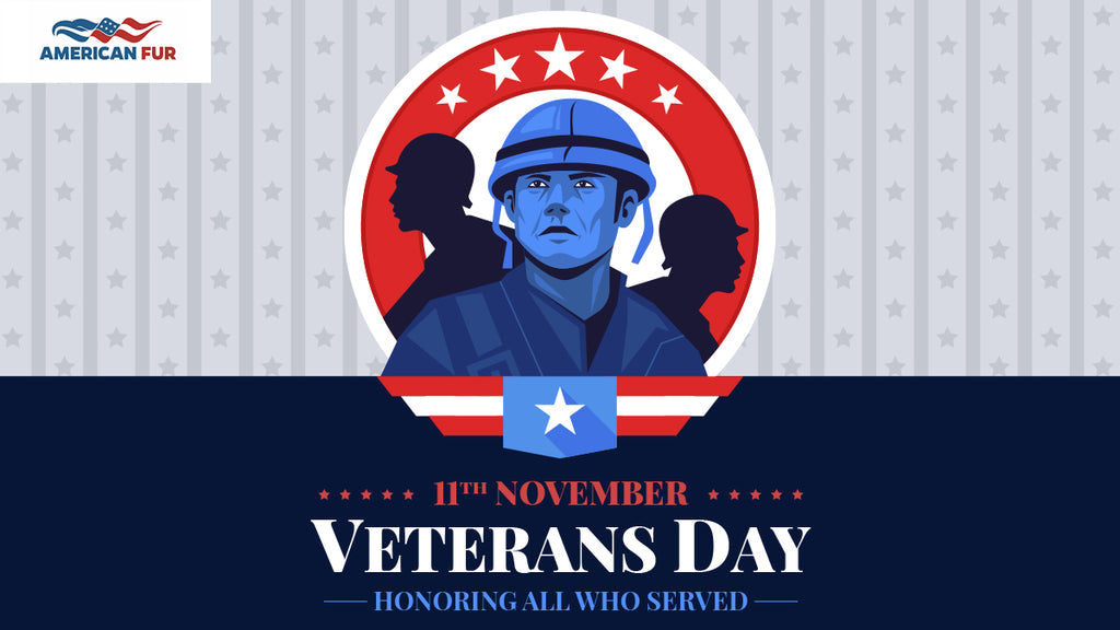 A Historical Perspective On Veterans Day