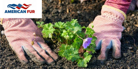 Close to Your Kitchen and Heart: Kitchen Garden