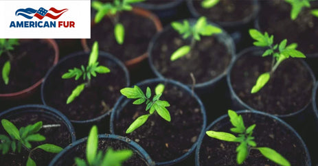 Top 8 Mistakes to Avoid in Gardening