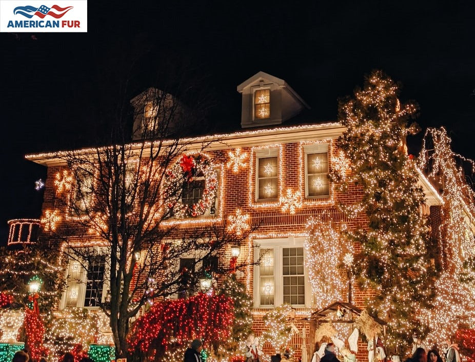 Five Fun Christmas Activities
