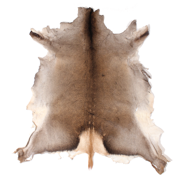 American Fur A Grade Deerskin Leather Hides
